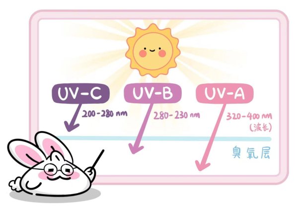 翼牛网 炎炎夏日 除了皮肤，这个部位也需要防晒