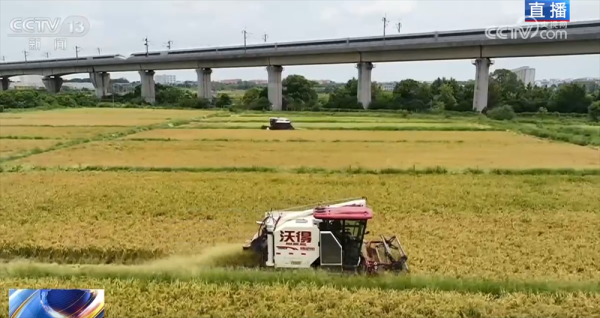 万宝优配 良机良种良技绘就早稻好“丰”景 “新农人”正逐渐成为“兴农人”