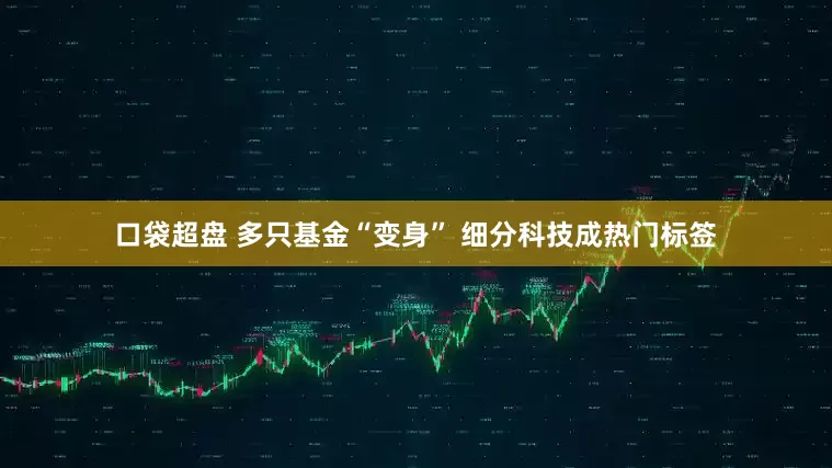 口袋超盘 多只基金“变身” 细分科技成热门标签